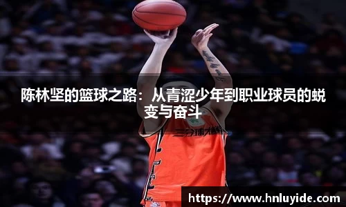 yy易游体育网址